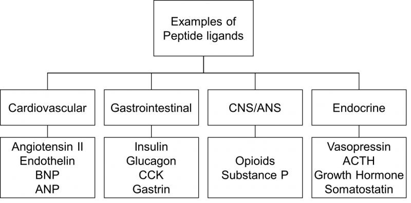 Peptides examples table