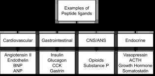 Peptides examples table